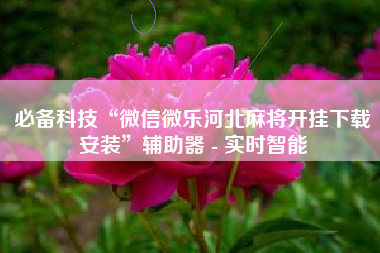 必备科技“微信微乐河北麻将开挂下载安装”辅助器 - 实时智能