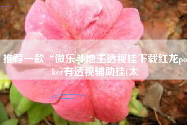 推荐一款“微乐斗地主透视挂下载红龙poker有透视辅助挂(太