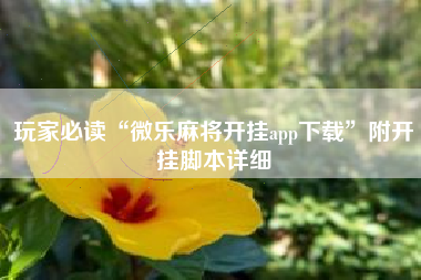 玩家必读“微乐麻将开挂app下载	”附开挂脚本详细