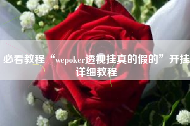 必看教程“wepoker透视挂真的假的”开挂详细教程