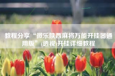 教程分享“微乐陕西麻将万能开挂器通用版”(透视)开挂详细教程