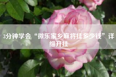 3分钟学会“微乐家乡麻将挂多少钱”详细开挂