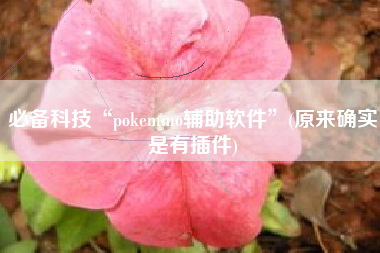 必备科技“pokemmo辅助软件	”(原来确实是有插件)