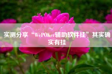 实测分享“WePOKer辅助软件挂”其实确实有挂