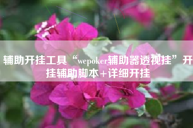 辅助开挂工具“wepoker辅助器透视挂	”开挂辅助脚本+详细开挂