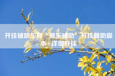 开挂辅助工具“微乐辅助”开挂辅助脚本+详细开挂