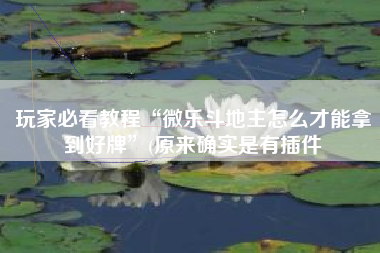 玩家必看教程“微乐斗地主怎么才能拿到好牌”(原来确实是有插件