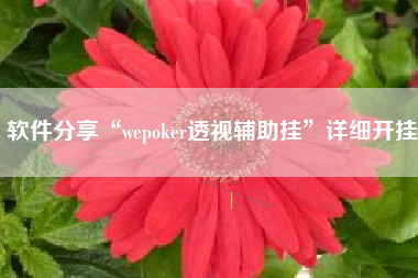 软件分享“wepoker透视辅助挂”详细开挂