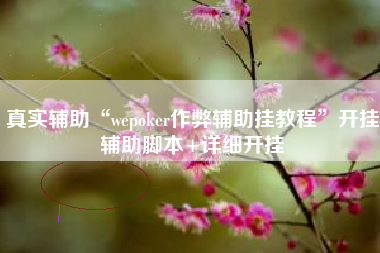 真实辅助“wepoker作弊辅助挂教程	”开挂辅助脚本+详细开挂