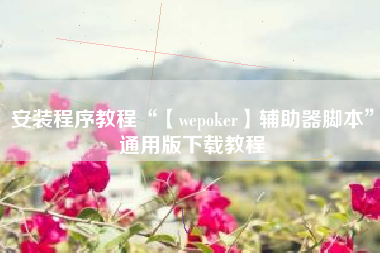 安装程序教程“【wepoker】辅助器脚本”通用版下载教程