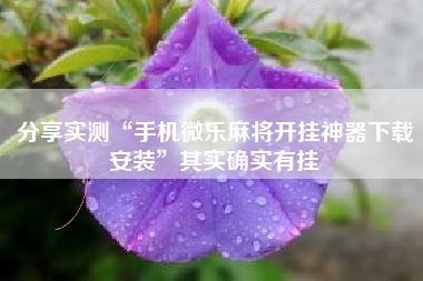 分享实测“手机微乐麻将开挂神器下载安装	”其实确实有挂