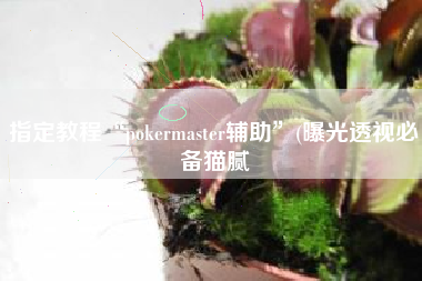 指定教程“pokermaster辅助	”(曝光透视必备猫腻