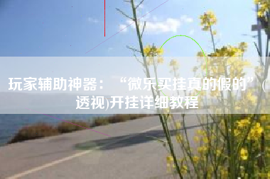 玩家辅助神器：“微乐买挂真的假的”(透视)开挂详细教程