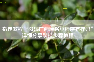 指定教程“微乐广西麻将小程序有挂吗”详细分享装挂步骤教程
