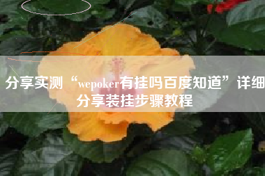 分享实测“wepoker有挂吗百度知道”详细分享装挂步骤教程