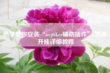 必学教你安装“wepoker辅助插件	”(透视)开挂详细教程