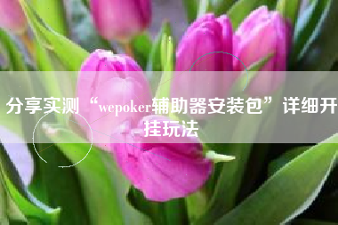 分享实测“wepoker辅助器安装包”详细开挂玩法