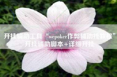 开挂辅助工具“wepoker作弊辅助挂教程”开挂辅助脚本+详细开挂