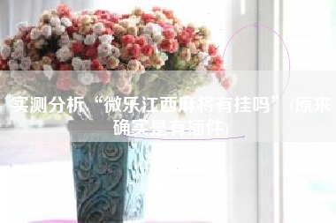 实测分析“微乐江西麻将有挂吗”(原来确实是有插件)