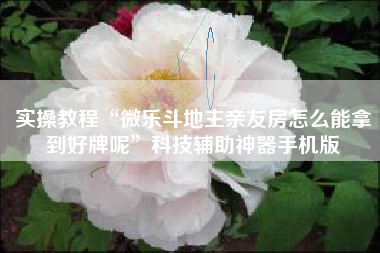 实操教程“微乐斗地主亲友房怎么能拿到好牌呢	”科技辅助神器手机版