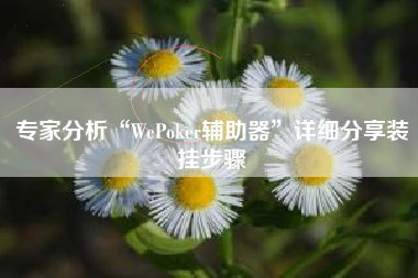专家分析“WePoker辅助器”详细分享装挂步骤
