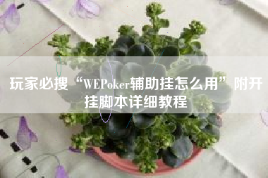 玩家必搜“WEPoker辅助挂怎么用	”附开挂脚本详细教程