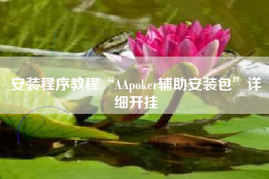 安装程序教程“AApoker辅助安装包”详细开挂