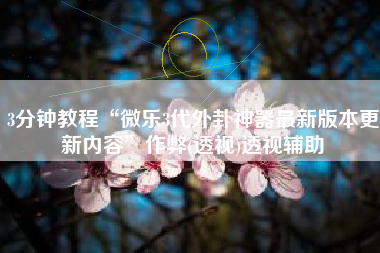 3分钟教程“微乐3代外卦神器最新版本更新内容”作弊(透视)透视辅助