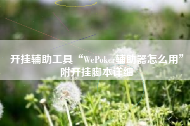 开挂辅助工具“WePoker辅助器怎么用”附开挂脚本详细