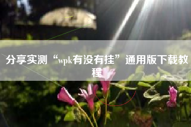 分享实测“wpk有没有挂	”通用版下载教程
