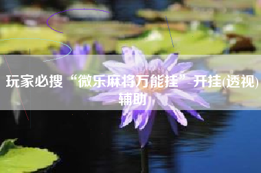 玩家必搜“微乐麻将万能挂”开挂(透视)辅助