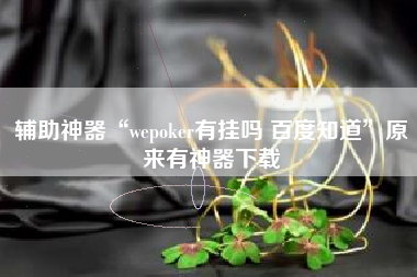 辅助神器“wepoker有挂吗 百度知道”原来有神器下载