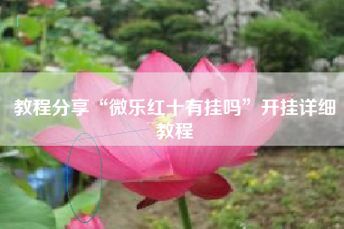 教程分享“微乐红十有挂吗”开挂详细教程