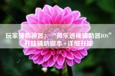 玩家辅助神器：“微乐透视辅助器IOS	”开挂辅助脚本+详细开挂