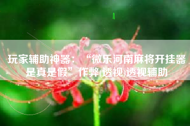 玩家辅助神器：“微乐河南麻将开挂器是真是假	”作弊(透视)透视辅助