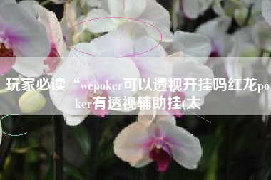 玩家必读“wepoker可以透视开挂吗红龙poker有透视辅助挂(太