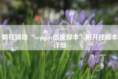 教程辅助“wepoker透视脚本”附开挂脚本详细