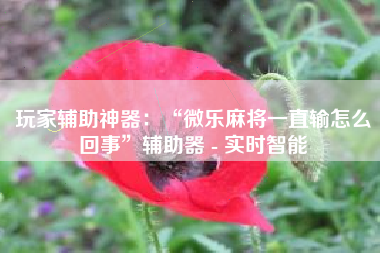 玩家辅助神器：“微乐麻将一直输怎么回事”辅助器 - 实时智能