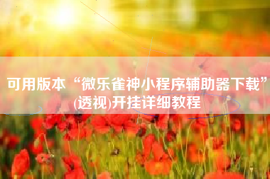 可用版本“微乐雀神小程序辅助器下载”(透视)开挂详细教程