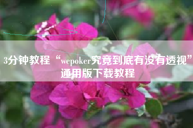 3分钟教程“wepoker究竟到底有没有透视	”通用版下载教程
