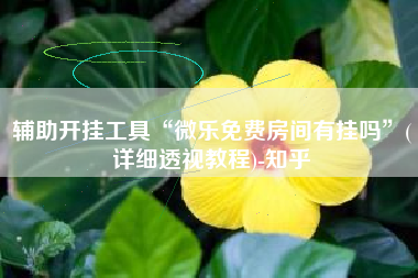 辅助开挂工具“微乐免费房间有挂吗	”(详细透视教程)-知乎