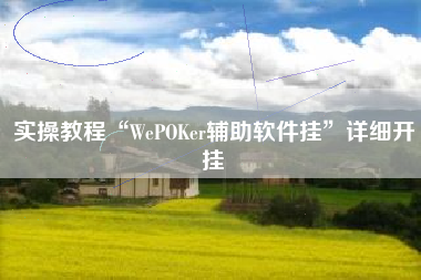 实操教程“WePOKer辅助软件挂	”详细开挂