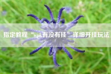 指定教程“wpk有没有挂”详细开挂玩法
