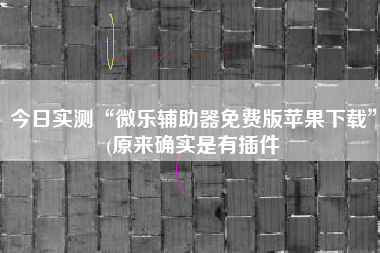 今日实测“微乐辅助器免费版苹果下载”(原来确实是有插件