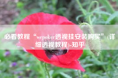 必看教程“wepoker透视挂安装购买	”(详细透视教程)-知乎