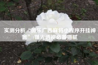 实测分析“微乐广西麻将小程序开挂神器	”(曝光透视必备猫腻