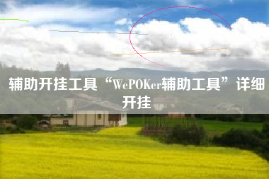 辅助开挂工具“WePOKer辅助工具”详细开挂