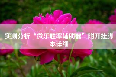 实测分析“微乐胜率辅助器”附开挂脚本详细