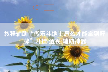 教程辅助“微乐斗地主怎么才能拿到好牌	”开挂(透视)辅助神器