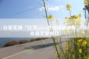 分享实测“红龙poker透视辅助教程”(原来确实是有挂)